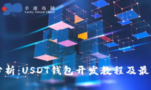 深入分析：USDT钱包开发教程及最佳实践