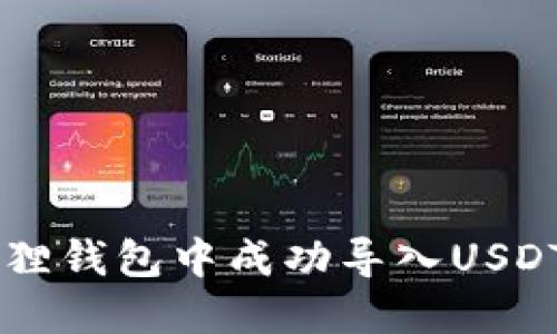  如何在小狐狸钱包中成功导入USDT：全方位指南