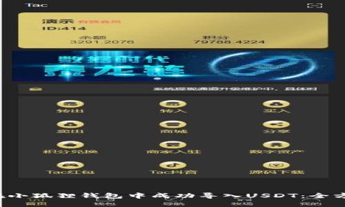  如何在小狐狸钱包中成功导入USDT：全方位指南