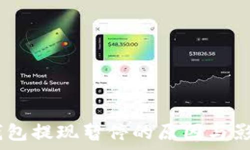   
USDT钱包提现暂停的原因与影响分析