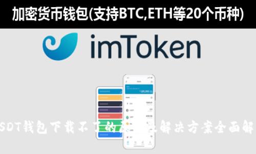 USDT钱包下载不了的原因及解决方案全面解析
