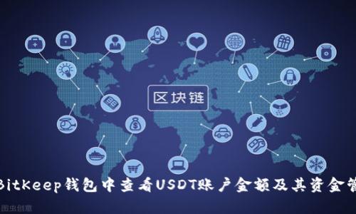 如何在BitKeep钱包中查看USDT账户金额及其资金管理技巧