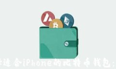如何选择适合iPhone的比特币钱包：全面指南