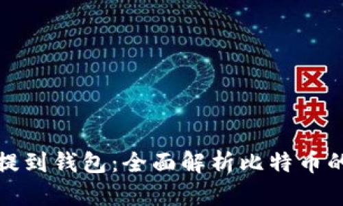 比特币如何提到钱包：全面解析比特币的存储与安全