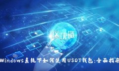 Windows系统下如何使用USD