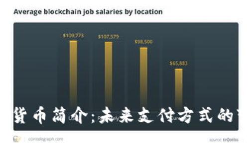 Pay数字货币简介：未来支付方式的变革先锋