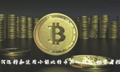 如何选择和使用小额比特