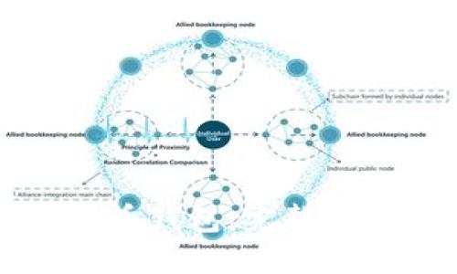 如何选择与使用比特币钱包：完整指南与老猫的经验分享