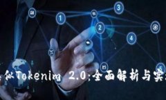 开发类似Tokenim 2.0：全面解