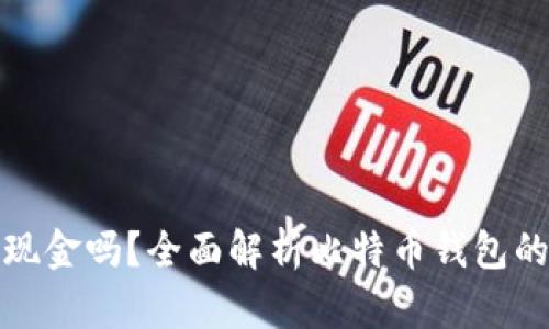 比特币钱包能存现金吗？全面解析比特币钱包的功能及其局限性