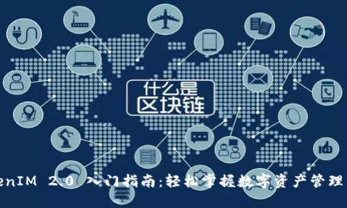 TokenIM 2.0 入门指南：轻松掌握数字资产管理工具