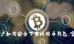 苹果用户如何安全下载比