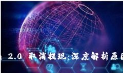 Tokenim 2.0 取消提现：深度