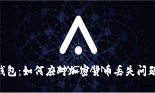 Tokenim假钱包：如何应对加密货币丢失问题及解决方案