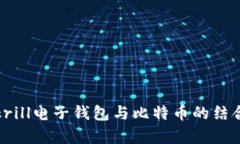 深入剖析：Skrill电子钱包