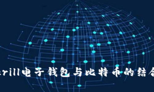 深入剖析：Skrill电子钱包与比特币的结合及使用指南