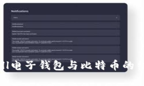 深入剖析：Skrill电子钱包与比特币的结合及使用指南