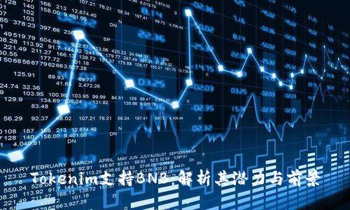 Tokenim支持BNB：解析其潜力与前景