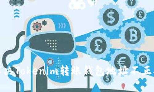 : 如何解决Tokenim转账钱包地址不正确的问题