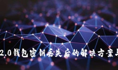 Tokenim 2.0钱包密钥丢失后的解决方案与应对策略