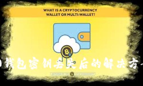 Tokenim 2.0钱包密钥丢失后的解决方案与应对策略