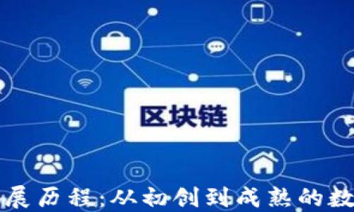 
区块链钱包的发展历程：从初创到成熟的数字资产管理工具
