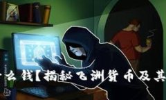 飞洲用什么钱？揭秘飞洲