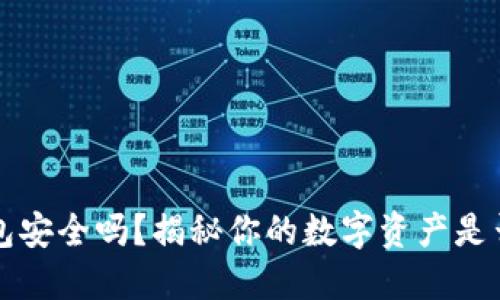 区块链钱包安全吗？揭秘你的数字资产是否会被盗走