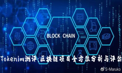 Tokenim测评：区块链项目全方位分析与评估
