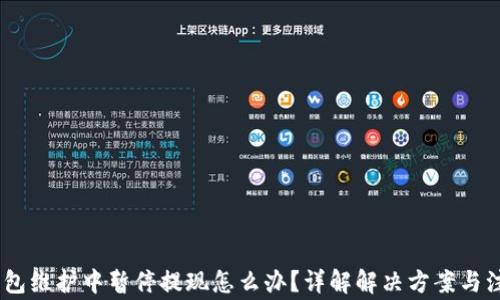 
USDT钱包维护中暂停提现怎么办？详解解决方案与注意事项