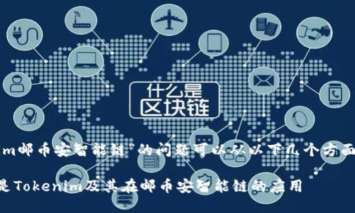 关于“tokenim邮币安智能链”的问题可以从以下几个方面来深入探讨：

### 什么是Tokenim及其在邮币安智能链的应用