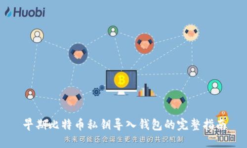 早期比特币私钥导入钱包的完整指南
