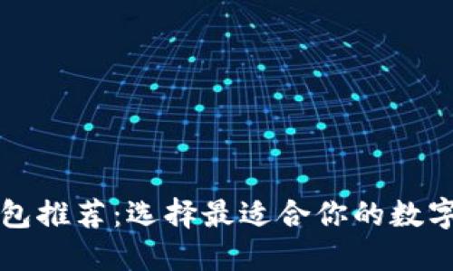 区块链安全钱包推荐：选择最适合你的数字资产保护方案