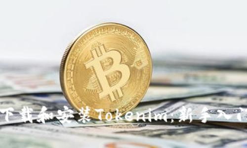 如何下载和安装Tokenim：新手入门指南