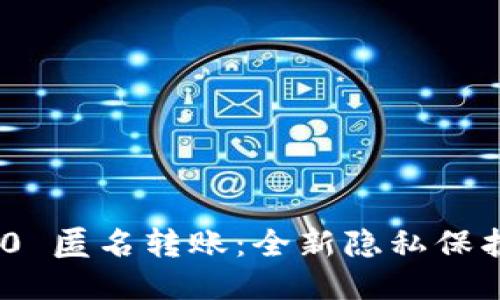 Tokenim 2.0 匿名转账：全新隐私保护技术的探索