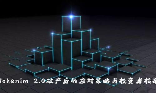 Tokenim 2.0破产后的应对策略与投资者指南