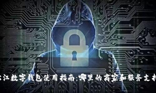 松江数字钱包使用指南：哪里的商家和服务支持？