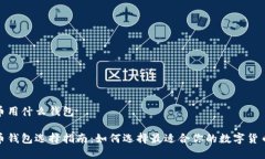 数字币用什么钱包数字币