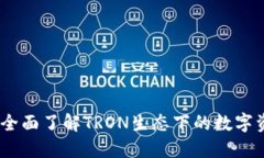 TP钱包百科：全面了解TR