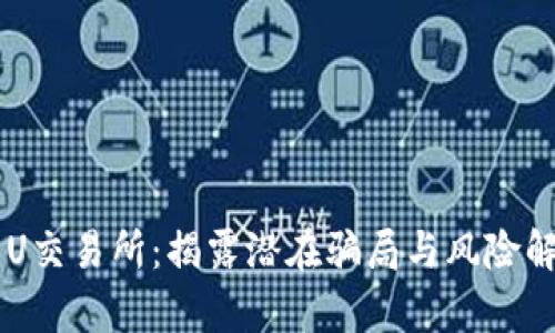币U交易所：揭露潜在骗局与风险解析
