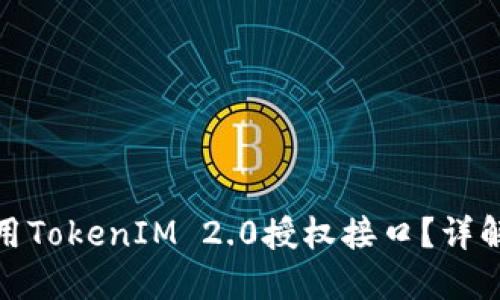 如何成功调用TokenIM 2.0授权接口？详解与实用示例