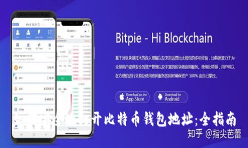 如何安全地打开比特币钱包地址：全指南