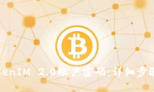 如何找回TokenIM 2.0账户密码：详细步骤与解决方案