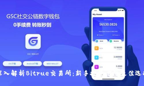 深入解析Bitrue交易所：新手投资者的最佳选择