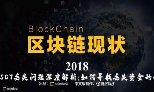 TP钱包USDT丢失问题深度解析：如何寻找丢失资金的解决方案