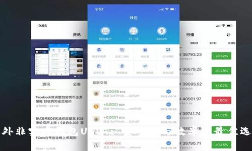 海外非实名钱包USDT: 安全性与效率的最佳选择