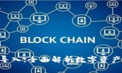 Tokenim导入：全面解析数字