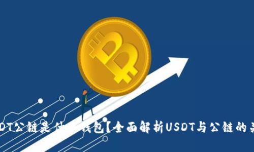 USDT公链是什么钱包？全面解析USDT与公链的关系
