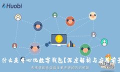 什么是中心化数字钱包？