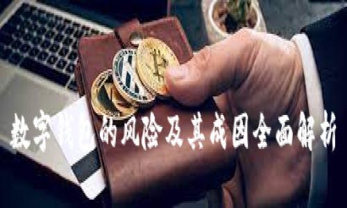 数字钱包的风险及其成因全面解析
